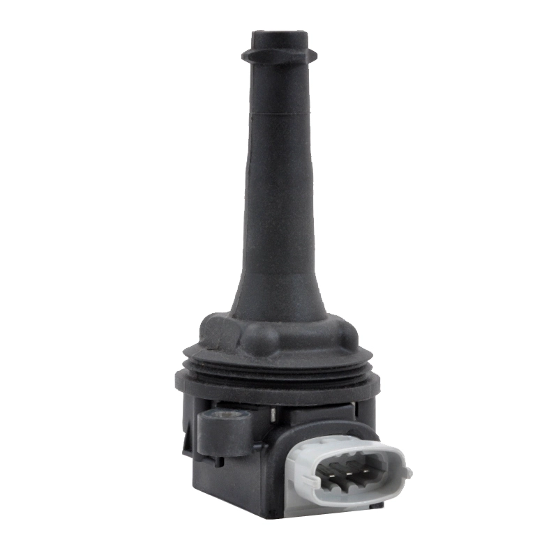 IC305