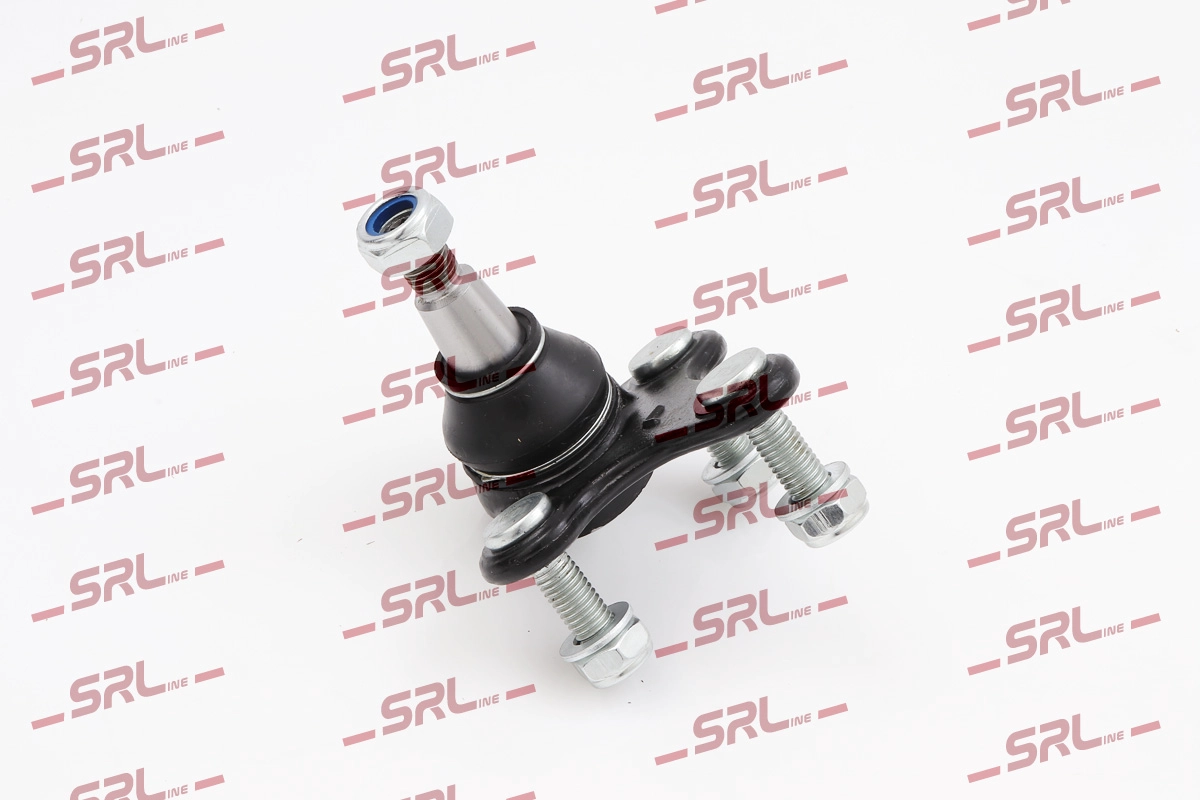 S6095501