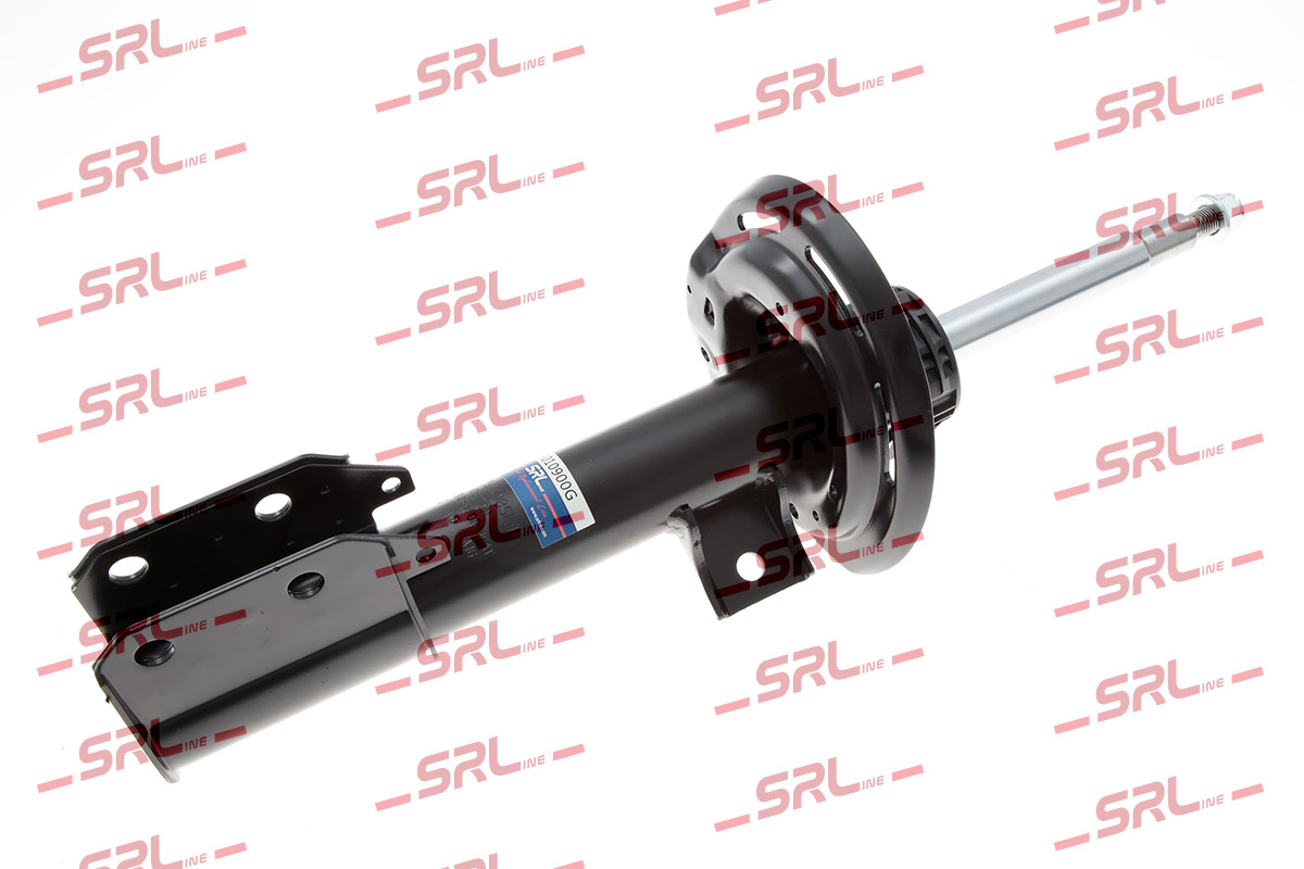 S010900G