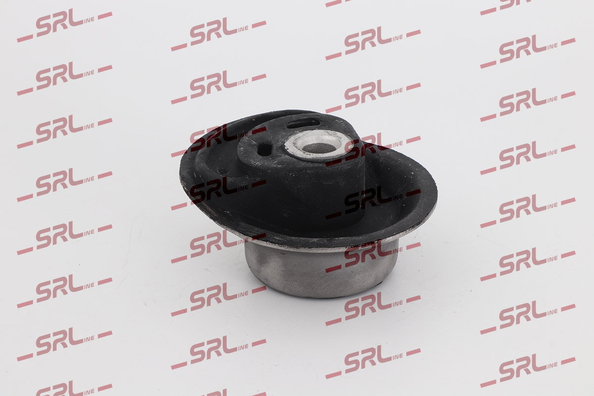 S2495005