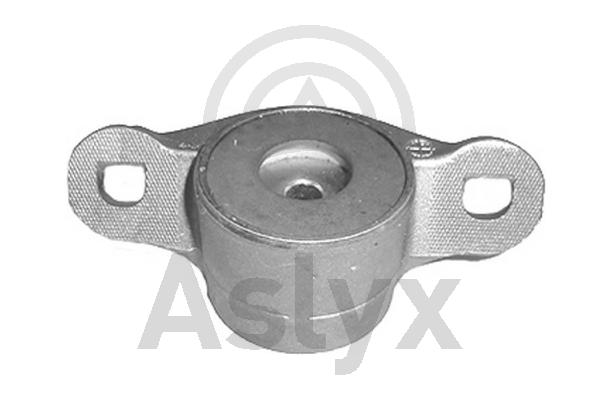 AS-506481