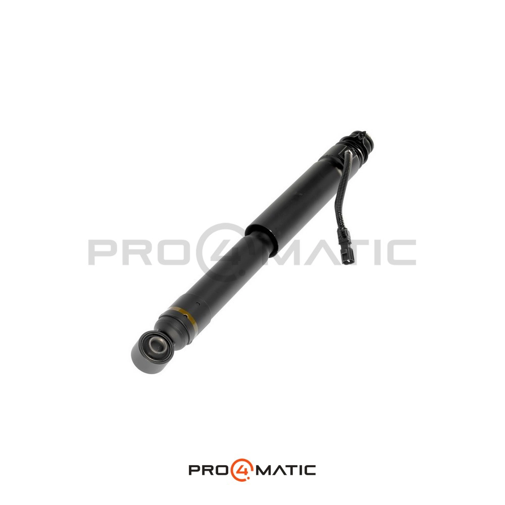 DL454436-SK