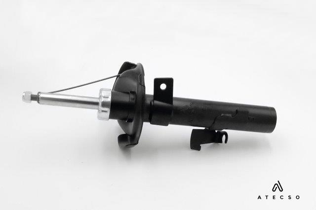 AMT00217