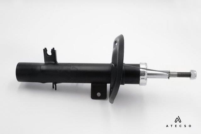 AMT00181