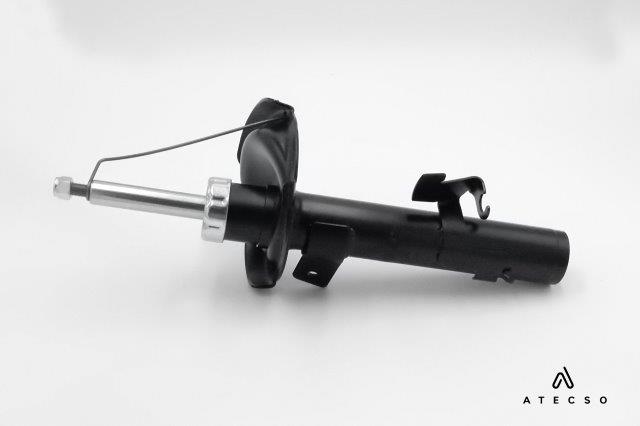AMT00218