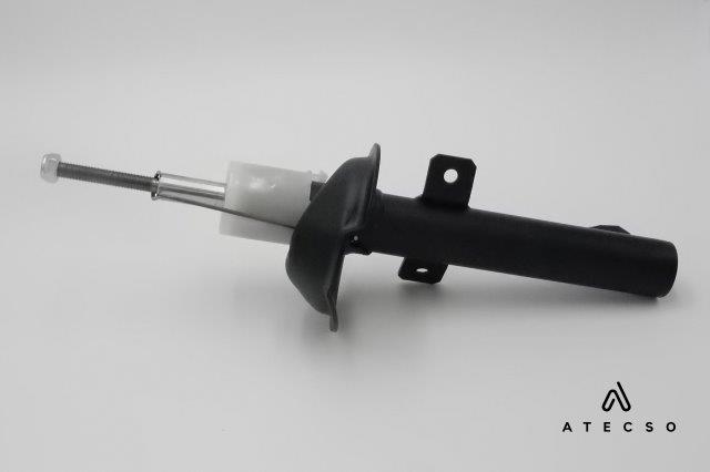 AMT00161