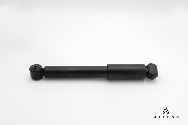AMT00198
