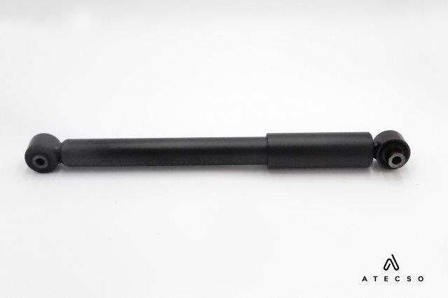 AMT00216