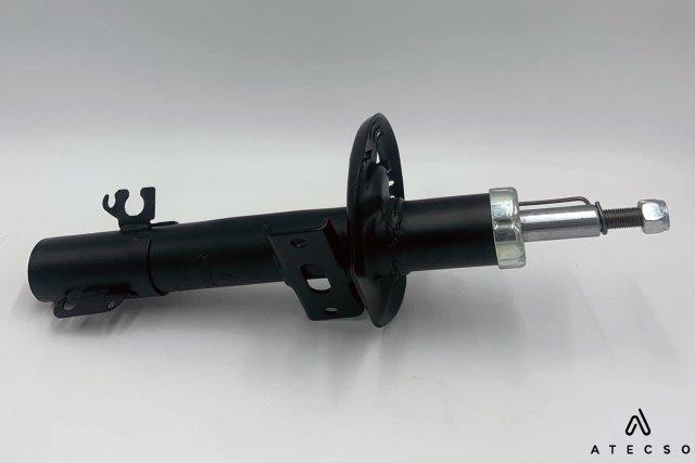 AMT00305