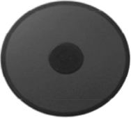 PT009