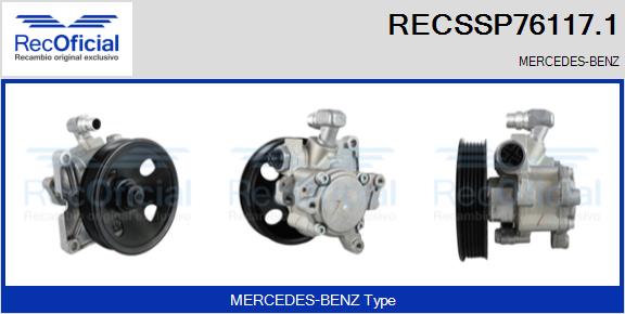 RECSSP76117.1