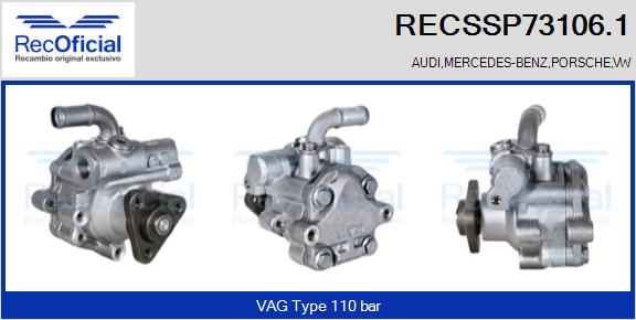 RECSSP73106.1