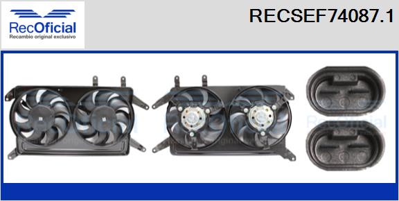 RECSEF74087.1