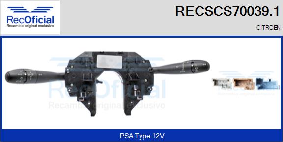 RECSCS70039.1