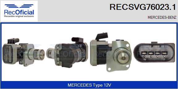 RECSVG76023.1
