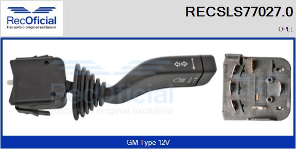 RECSLS77027.0
