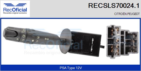 RECSLS70024.1