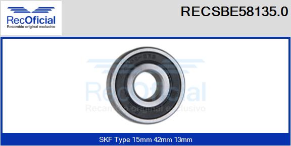 RECSBE58135.0