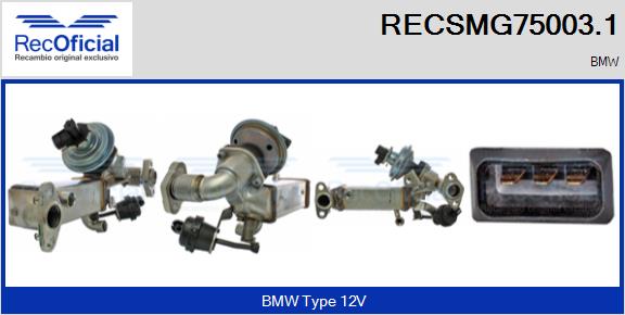 RECSMG75003.1