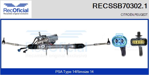 RECSSB70302.1