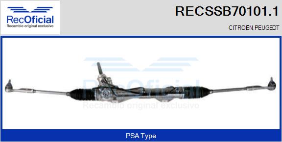 RECSSB70101.1