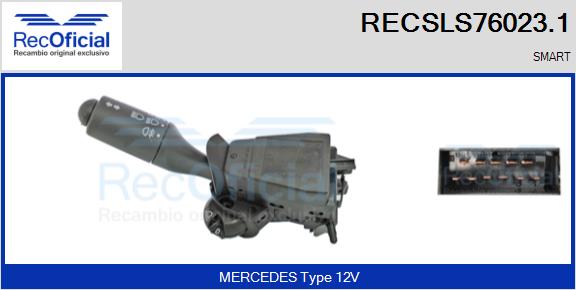 RECSLS76023.1