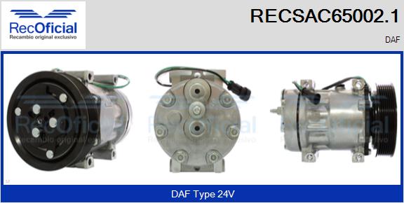 RECSAC65002.1