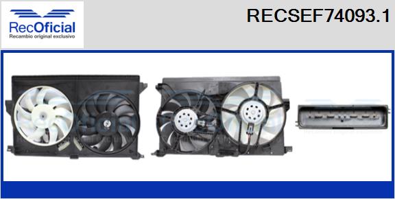 RECSEF74093.1