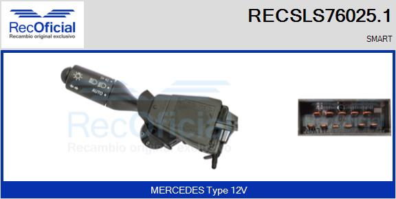 RECSLS76025.1