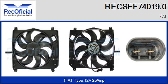 RECSEF74019.0