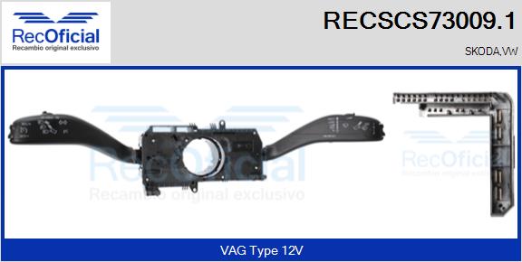 RECSCS73009.1