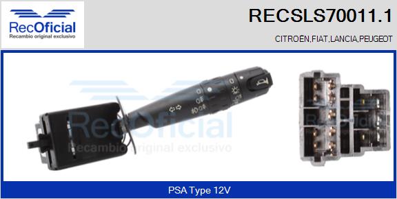 RECSLS70011.1