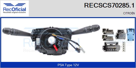RECSCS70285.1