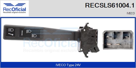 RECSLS61004.1
