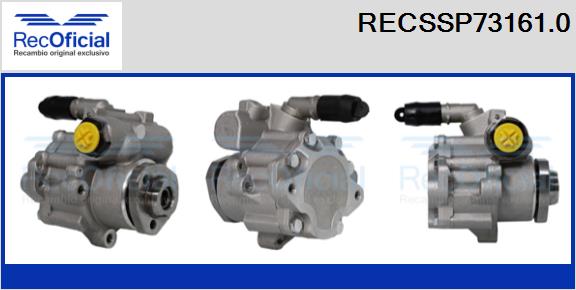 RECSSP73161.0