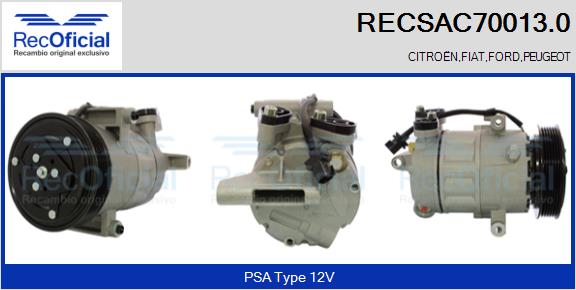 RECSAC70013.0
