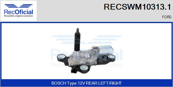 RECSWM10313.1