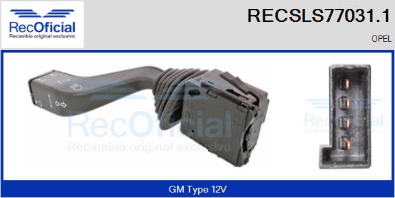 RECSLS77031.1