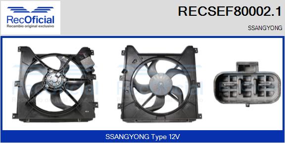 RECSEF80002.1
