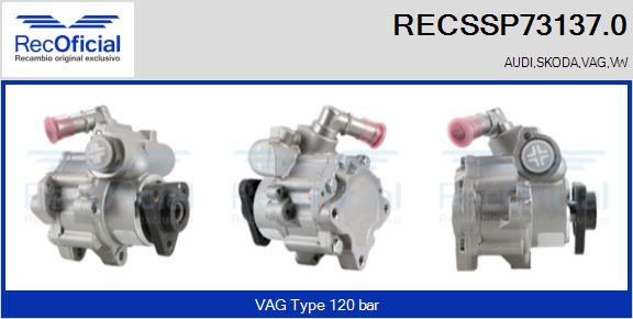 RECSSP73137.0