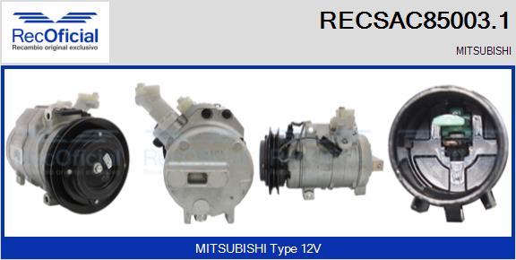 RECSAC85003.1