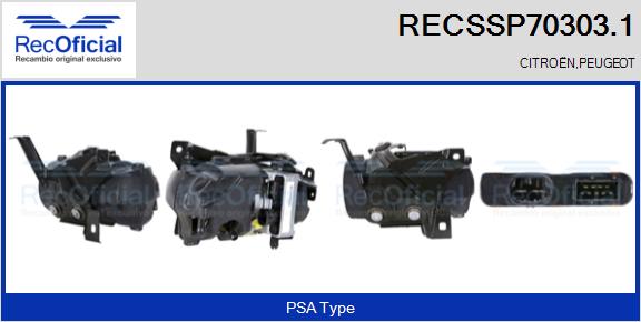 RECSSP70303.1