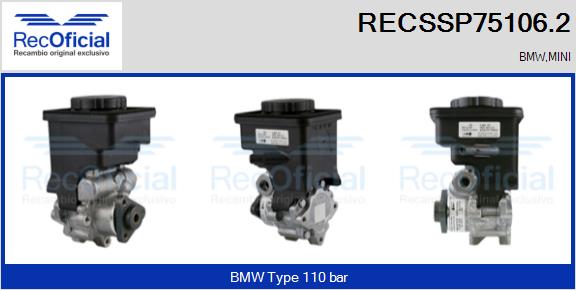 RECSSP75106.2