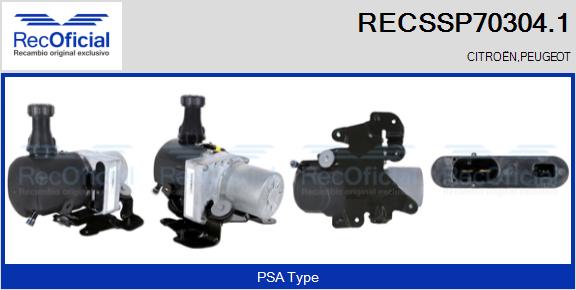 RECSSP70304.1