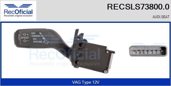 RECSLS73800.0