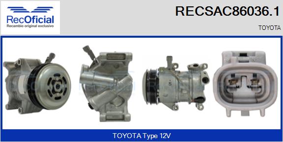 RECSAC86036.1