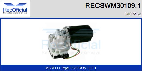 RECSWM30109.1