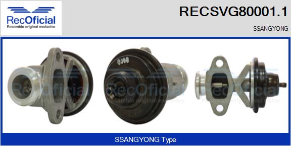 RECSVG80001.1