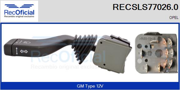 RECSLS77026.0