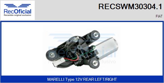 RECSWM30304.1
